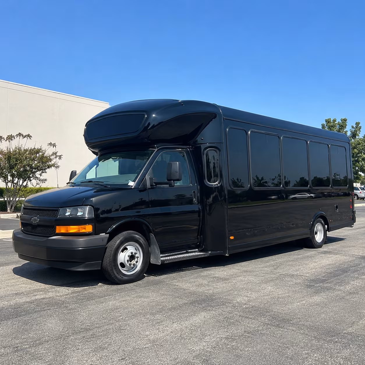 Group beside a Mercedes Sprinter limo in Minneapolis